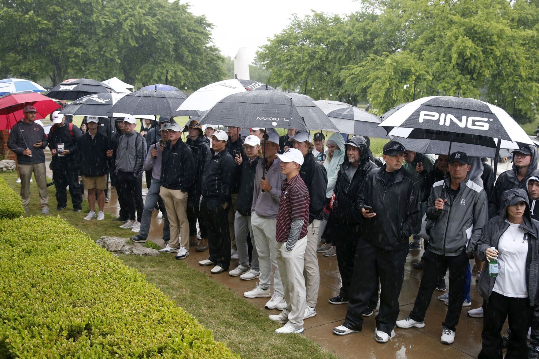 6A Golf